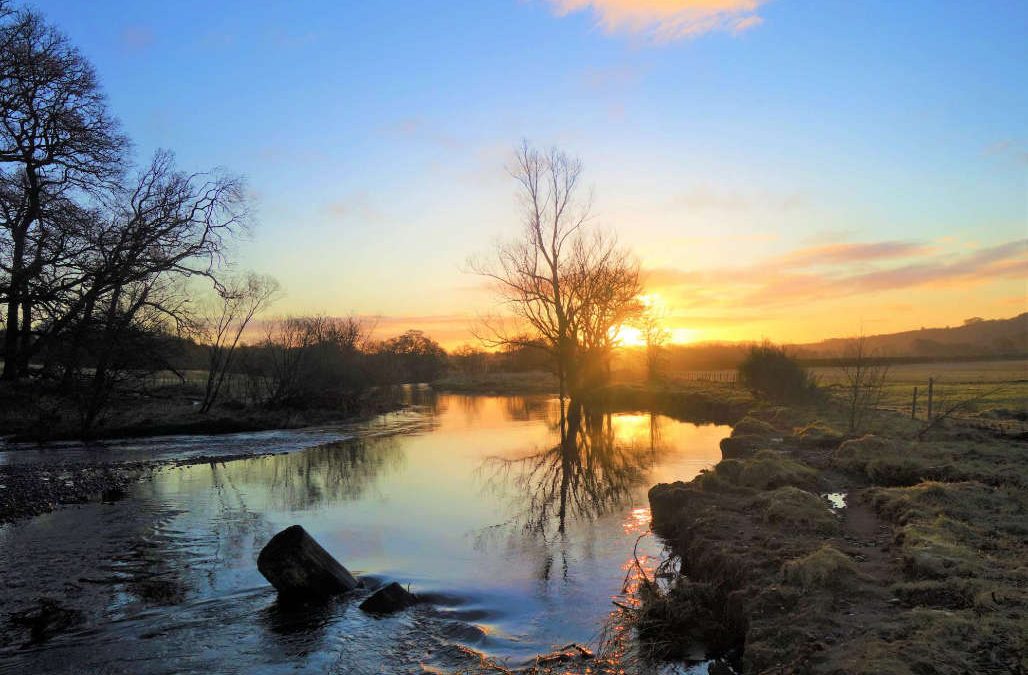 River reflections