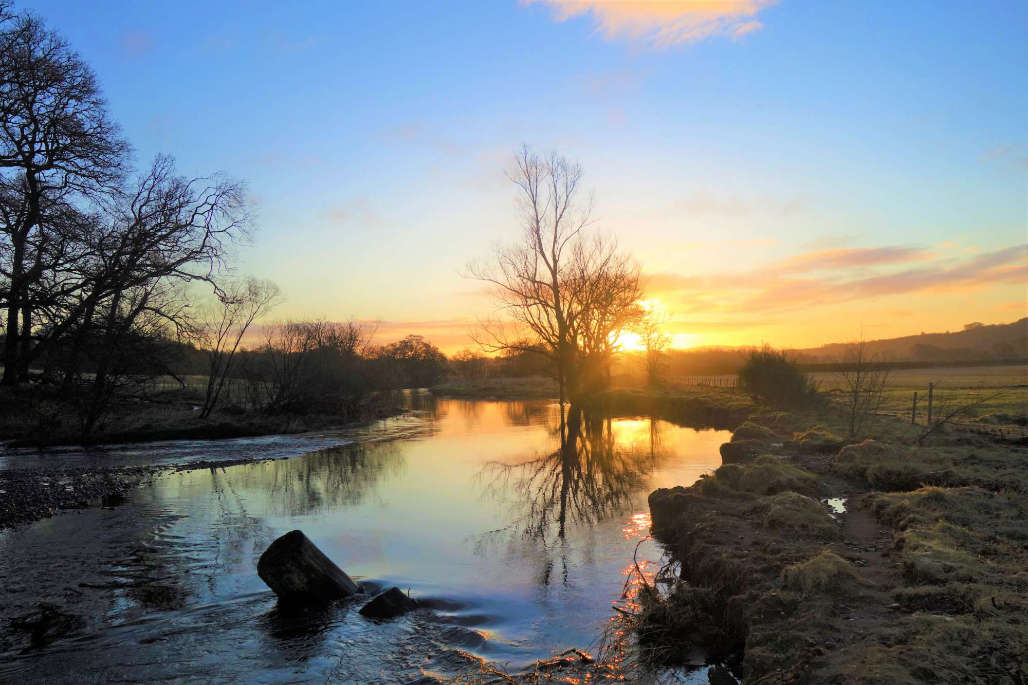 River reflections