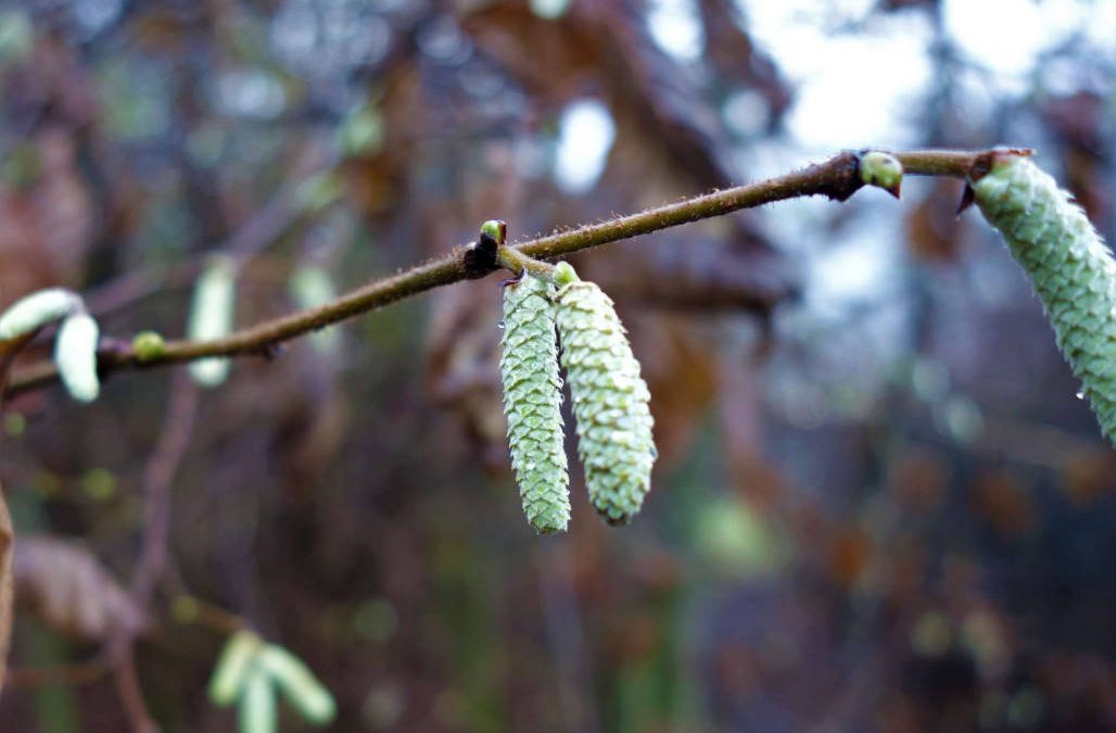 On the cusp of change