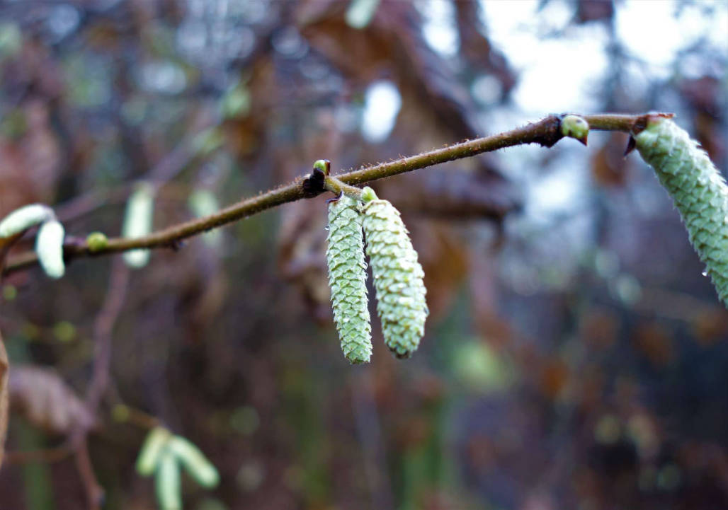 On the cusp of change