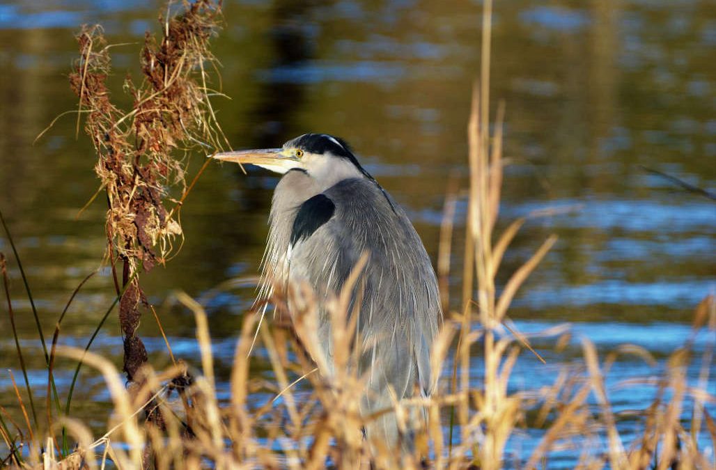 Revealing the secret life of a Scottish river